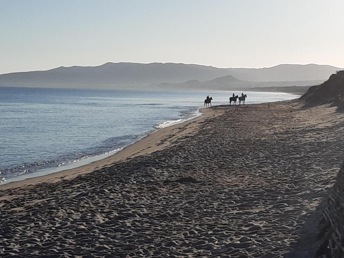 I Ginepri Villa Sorso Dış mekan fotoğraf